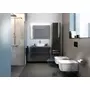 Kép 3/3 - Roca Inspira Square lecsapódásgátlós WC ülőke referenciaképe